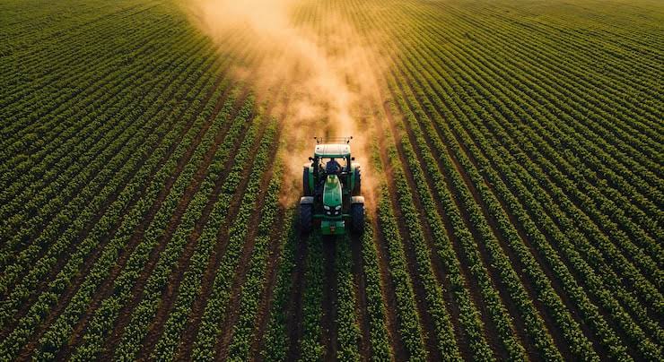 Safra brasileira de grãos deve atingir recorde de 361,7 milhões de toneladas em 2025/26